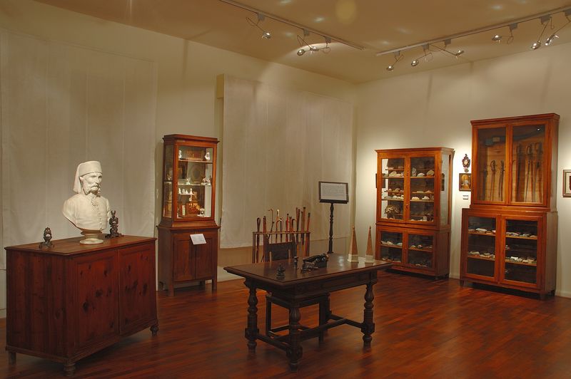 Ricostruzione dell'aspetto originario del Museo Venturini con le collezioni naturalistiche e mineralogiche.